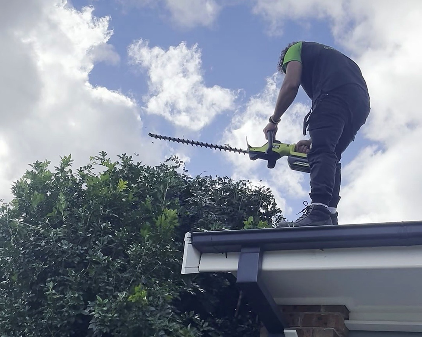 Too Easy Mate crew trimming a hedge from the roof